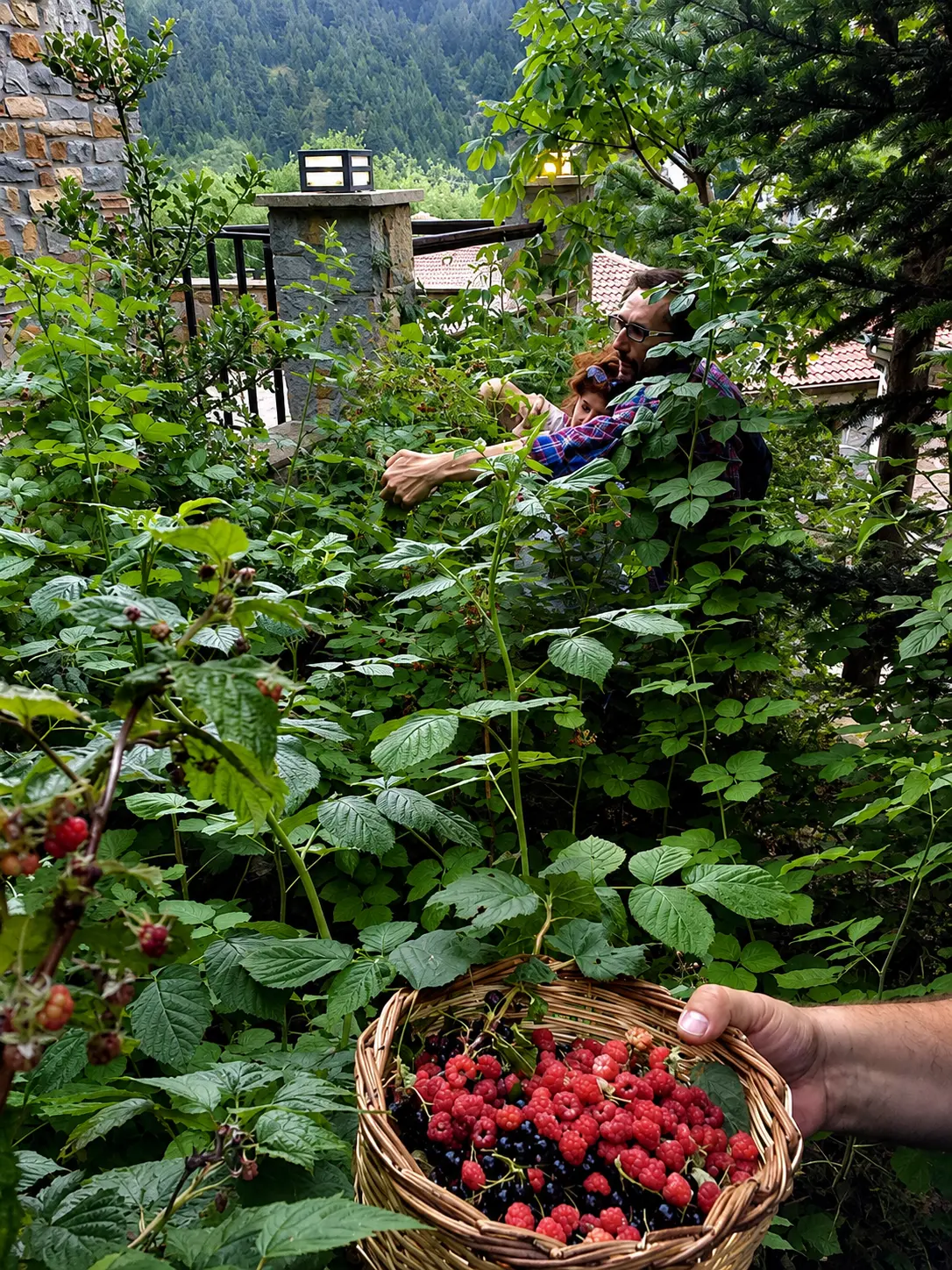 Foraging in the gardens